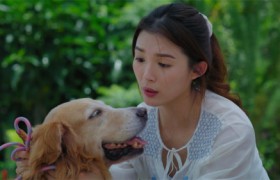 新剧《宠他，还是爱我》：新加坡演员周智慧面临爱人和宠物的选择困难