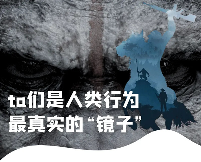 电影频道将在5月17日播出《猩球崛起：黎明之战》-2