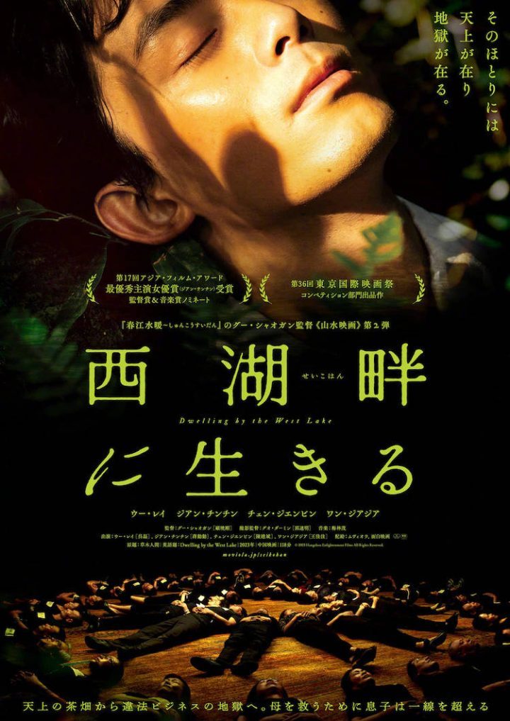 吴磊蒋勤勤主演电影《草木人间》日版预告曝光，9月27日将在日本上映-1